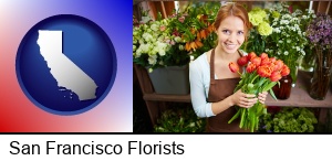 San Francisco, California - pretty florist holding a bunch of tulips
