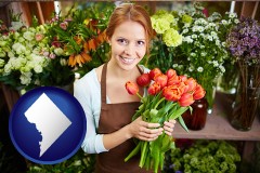 washington-dc pretty florist holding a bunch of tulips