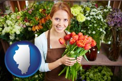 illinois map icon and pretty florist holding a bunch of tulips