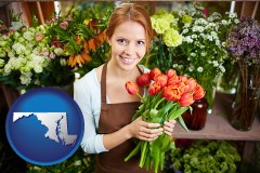 maryland map icon and pretty florist holding a bunch of tulips