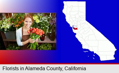 pretty florist holding a bunch of tulips; Alameda County highlighted in red on a map