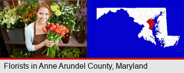 pretty florist holding a bunch of tulips; Anne Arundel County highlighted in red on a map