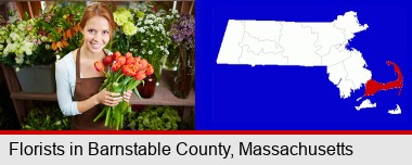 pretty florist holding a bunch of tulips; Barnstable County highlighted in red on a map