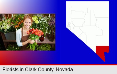 pretty florist holding a bunch of tulips; Clark County highlighted in red on a map