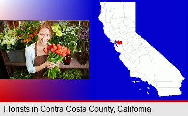 pretty florist holding a bunch of tulips; Contra Costa County highlighted in red on a map