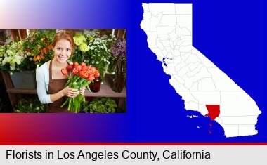 pretty florist holding a bunch of tulips; Los Angeles County highlighted in red on a map