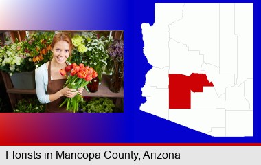 pretty florist holding a bunch of tulips; Maricopa County highlighted in red on a map