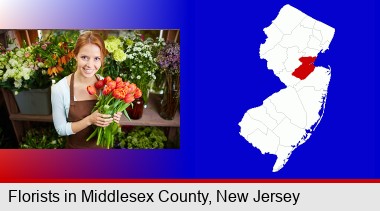 pretty florist holding a bunch of tulips; Middlesex County highlighted in red on a map