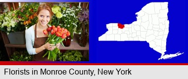 pretty florist holding a bunch of tulips; Monroe County highlighted in red on a map
