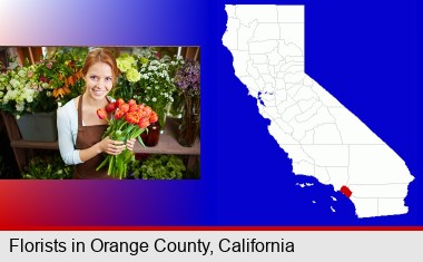 pretty florist holding a bunch of tulips; Orange County highlighted in red on a map