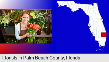 pretty florist holding a bunch of tulips; Palm Beach County highlighted in red on a map