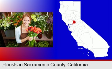 pretty florist holding a bunch of tulips; Sacramento County highlighted in red on a map