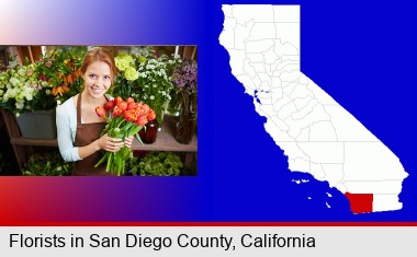 pretty florist holding a bunch of tulips; San Diego County highlighted in red on a map