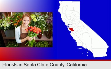 pretty florist holding a bunch of tulips; Santa Clara County highlighted in red on a map