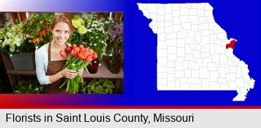 pretty florist holding a bunch of tulips; St Francois County highlighted in red on a map
