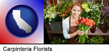 pretty florist holding a bunch of tulips in Carpinteria, CA