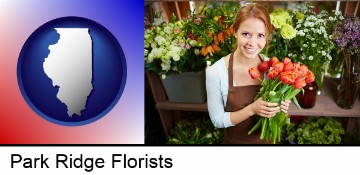 pretty florist holding a bunch of tulips in Park Ridge, IL