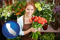 pretty florist holding a bunch of tulips - with CA icon