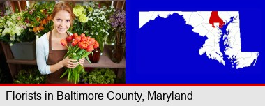 pretty florist holding a bunch of tulips; Baltimore County highlighted in red on a map