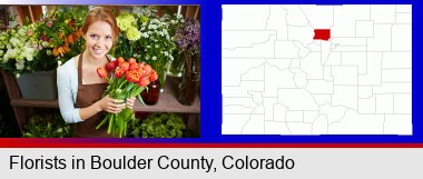 pretty florist holding a bunch of tulips; Boulder County highlighted in red on a map