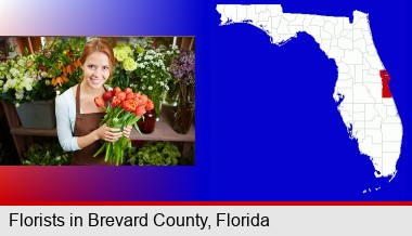 pretty florist holding a bunch of tulips; Brevard County highlighted in red on a map