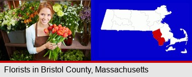 pretty florist holding a bunch of tulips; Bristol County highlighted in red on a map