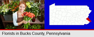 pretty florist holding a bunch of tulips; Bucks County highlighted in red on a map
