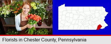 pretty florist holding a bunch of tulips; Chester County highlighted in red on a map