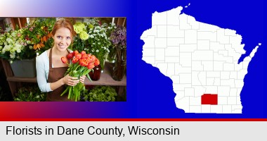 pretty florist holding a bunch of tulips; Dane County highlighted in red on a map