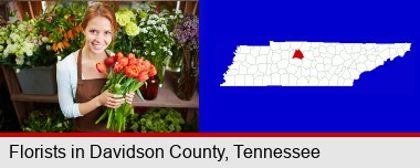 pretty florist holding a bunch of tulips; Davidson County highlighted in red on a map