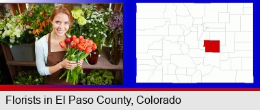 pretty florist holding a bunch of tulips; Elbert County highlighted in red on a map