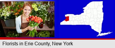 pretty florist holding a bunch of tulips; Erie County highlighted in red on a map