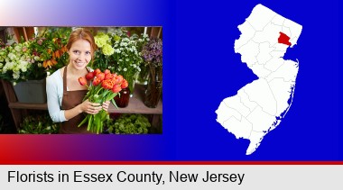 pretty florist holding a bunch of tulips; Essex County highlighted in red on a map