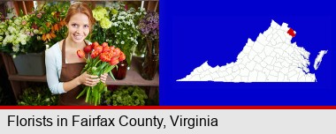 pretty florist holding a bunch of tulips; Fairfax County highlighted in red on a map