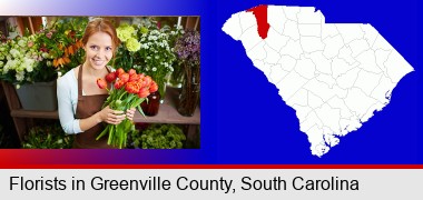 pretty florist holding a bunch of tulips; Greenville County highlighted in red on a map