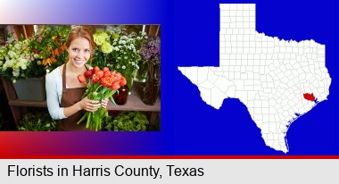 pretty florist holding a bunch of tulips; Harris County highlighted in red on a map