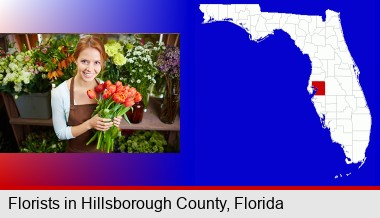 pretty florist holding a bunch of tulips; Hillsborough County highlighted in red on a map