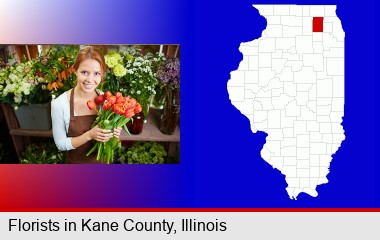 pretty florist holding a bunch of tulips; Kane County highlighted in red on a map