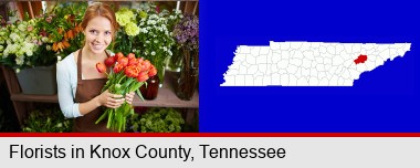 pretty florist holding a bunch of tulips; Knox County highlighted in red on a map