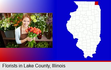 pretty florist holding a bunch of tulips; LaSalle County highlighted in red on a map