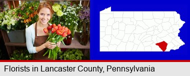 pretty florist holding a bunch of tulips; Lancaster County highlighted in red on a map