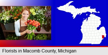 pretty florist holding a bunch of tulips; Macomb County highlighted in red on a map