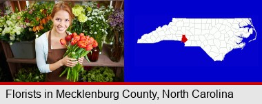 pretty florist holding a bunch of tulips; Mecklenburg County highlighted in red on a map