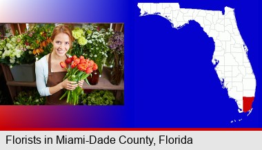 pretty florist holding a bunch of tulips; Miami-Dade County highlighted in red on a map