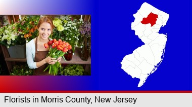 pretty florist holding a bunch of tulips; Morris County highlighted in red on a map