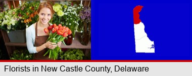 pretty florist holding a bunch of tulips; New Castle County highlighted in red on a map