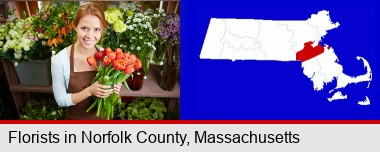 pretty florist holding a bunch of tulips; Norfolk County highlighted in red on a map