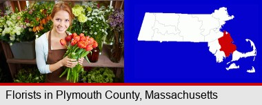 pretty florist holding a bunch of tulips; Plymouth County highlighted in red on a map