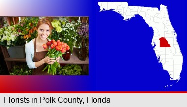 pretty florist holding a bunch of tulips; Polk County highlighted in red on a map