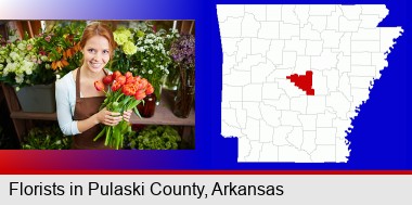 pretty florist holding a bunch of tulips; Pulaski County highlighted in red on a map